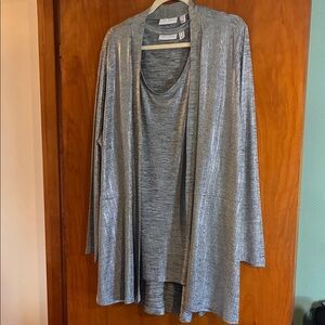 Susan Graver Shimmering Silver Tunic Set